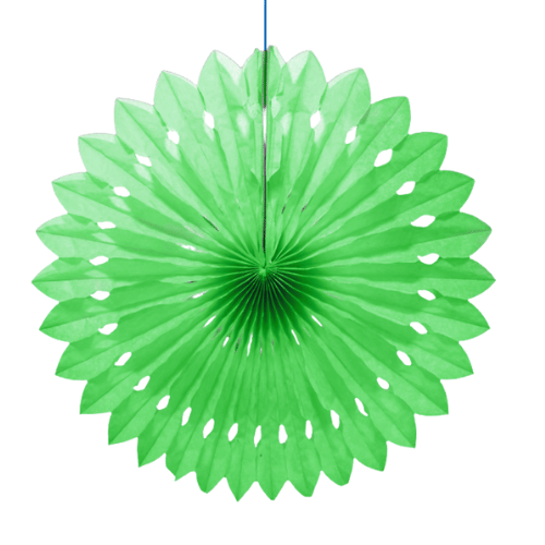 Pelur Yelpaze Geniş 30 Cm Açık Yeşil - 