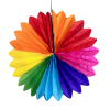 Pelur Yelpaze Geniş 30 Cm Karışık - 1