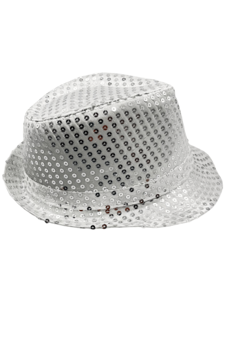 Şapka Fotr Pullu Işıklı Lüks Gümüş - 3