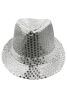 Şapka Fotr Pullu Lüks Gümüş - 1