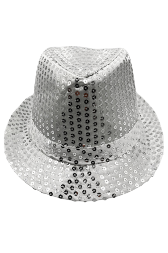 Şapka Fotr Pullu Lüks Gümüş - 