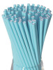 Kağıt Pipet Turkuaz 24 Parça - 1