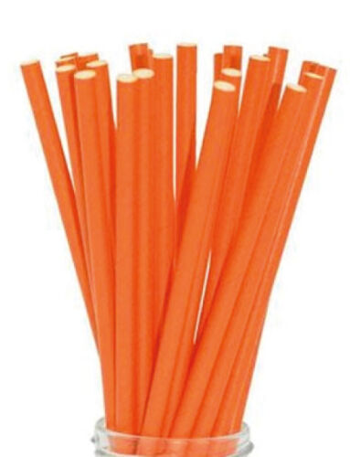 Kağıt Pipet Turuncu 24 Parça - 1