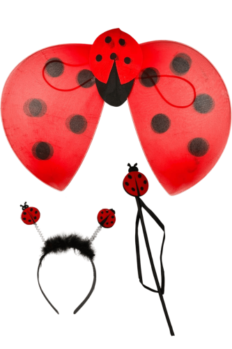 Kanat Set Uğur Böceği - 1