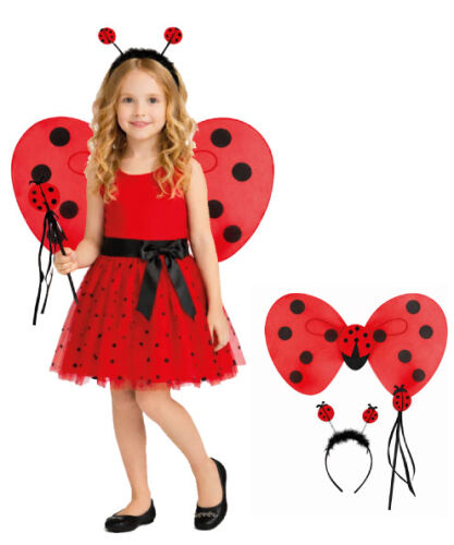 Kanat Set Uğur Böceği - 