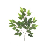 Yapay Yeşil Yaprak Benjamin Ağacı - 1
