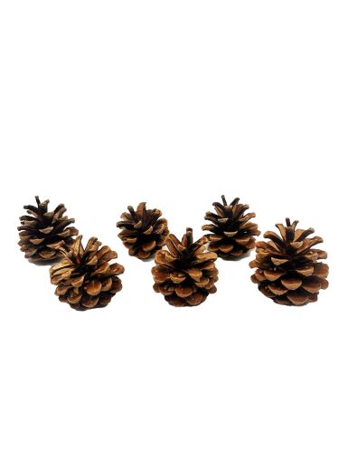 Yılbaşı Ağaç Süsü Kozalak 6 Parça Naturel - 